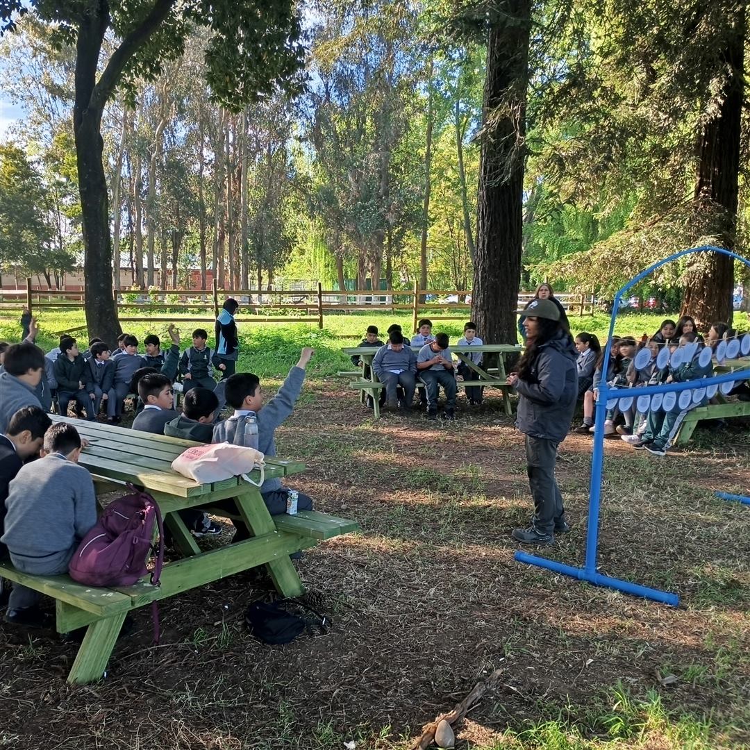 Interpretación Ambiental