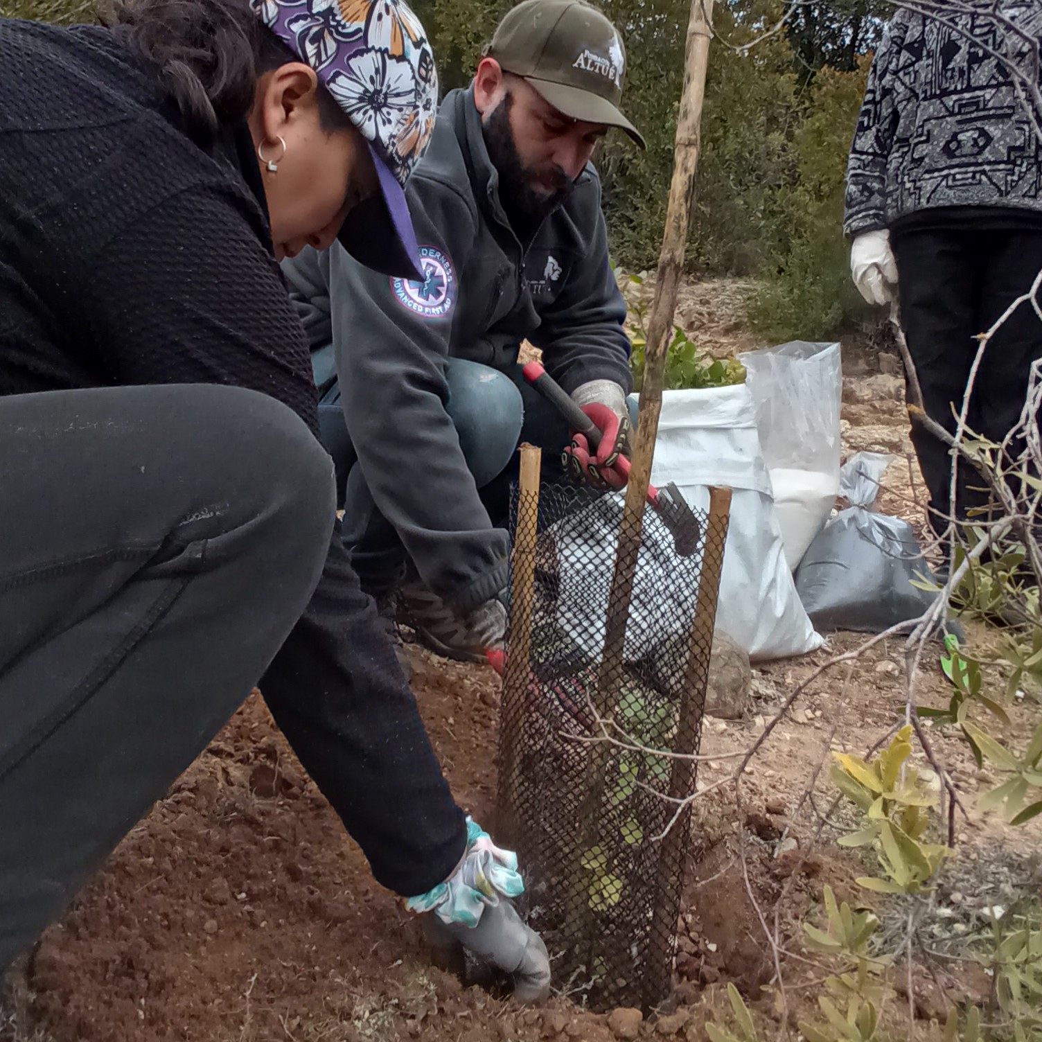 Jornada de Plantación